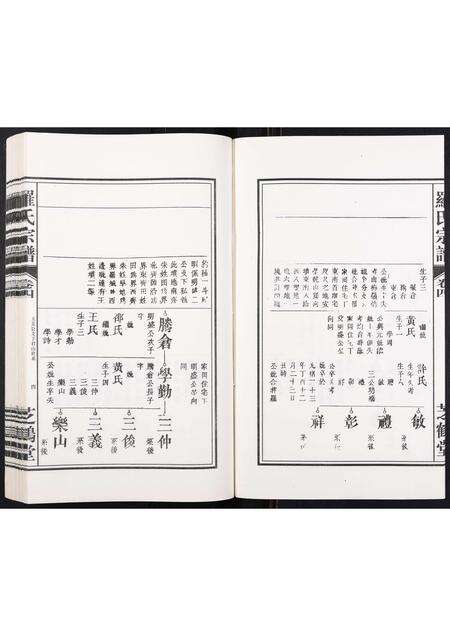 安徽罗氏族谱-罗氏宗谱[4卷].pdf电子版预览图4