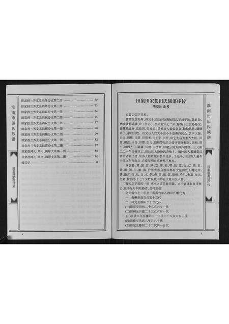 安徽田氏族谱-淮南市田集田家拐田氏族谱.pdf电子版预览图4