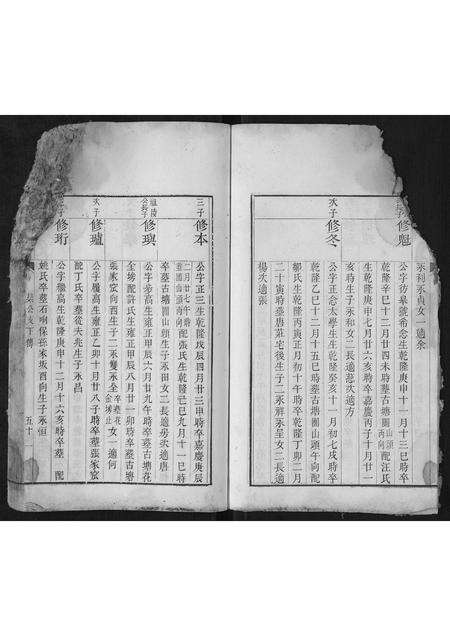 安徽王氏族谱-王氏宗谱.pdf电子版预览图4