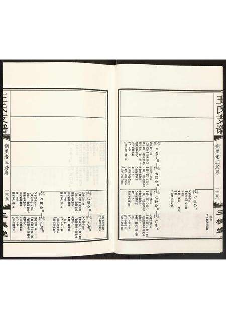 安徽王氏族谱-王氏支谱.pdf电子版预览图4