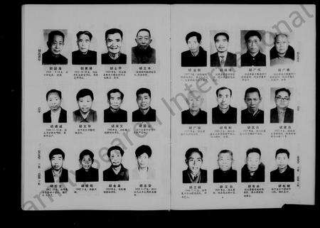 安徽胡氏族谱-胡氏家谱.pdf电子版预览图4