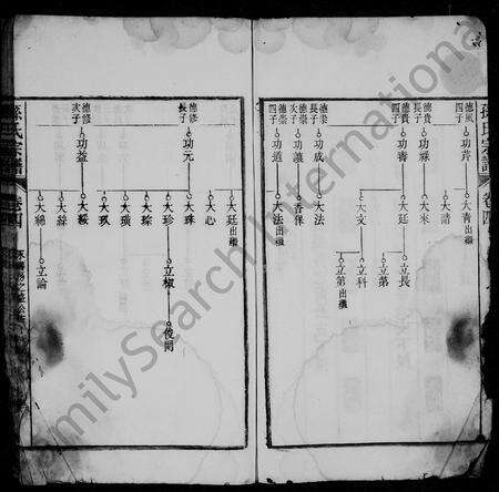 安徽孙氏族谱-孙氏宗谱.pdf电子版预览图4