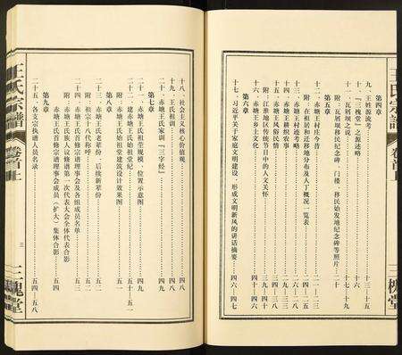 安徽王氏族谱-王氏宗谱.pdf电子版预览图4