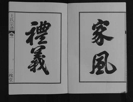 安徽王氏族谱-王氏宗谱[16卷].pdf电子版预览图4