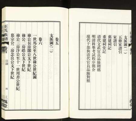 安徽王氏族谱-王氏族谱.pdf电子版预览图4