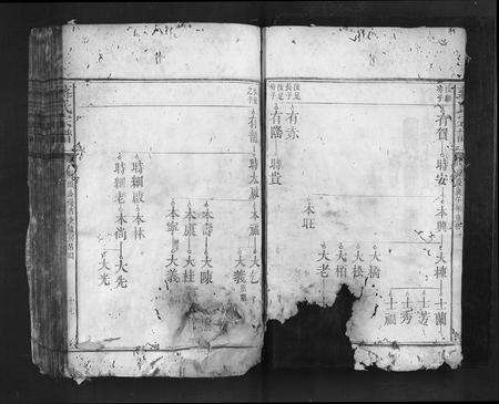 福建蒋氏族谱-蒋氏宗谱.pdf电子版预览图4