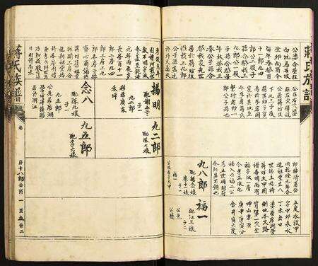 福建蒋氏族谱-蒋氏宗谱.pdf电子版预览图4