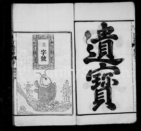 安徽丁氏族谱-龙山丁氏族谱 [12卷].pdf电子版预览图4