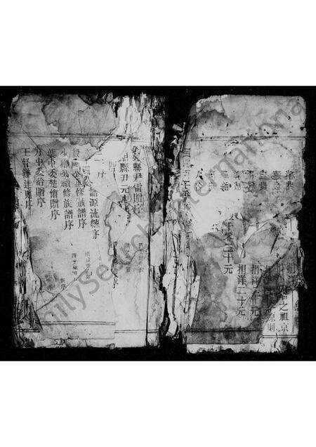 安徽金氏族谱-京兆金氏支谱.pdf电子版预览图4