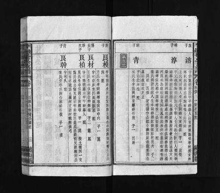 安徽李氏族谱-太湖李氏融庵公族谱 [9卷,首4卷].pdf电子版预览图4