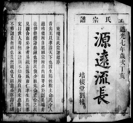 安徽王氏族谱-东楼王氏宗谱 [9卷].pdf电子版预览图4