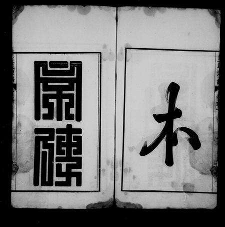 安徽王氏族谱-王氏宗谱 [10卷].pdf电子版预览图4