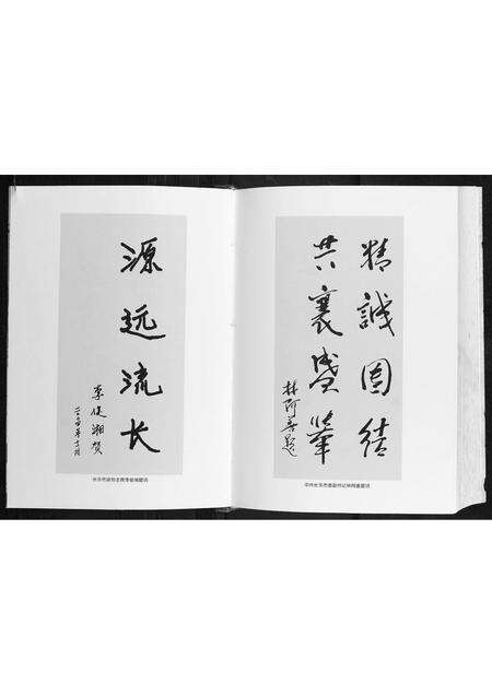 福建李氏族谱-岐峰豸峰厚福李氏谱志.pdf电子版预览图4