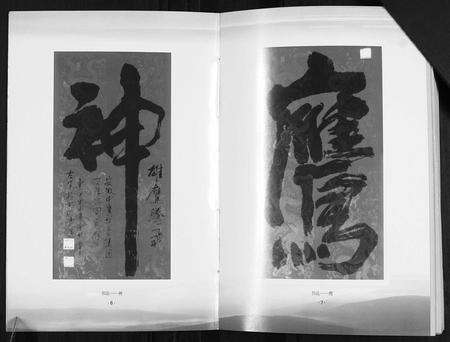 安徽韦氏族谱-临泉县韦应村韦氏谱志.pdf电子版预览图4