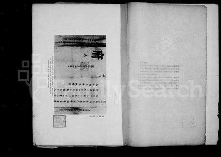 安徽未知族谱-岐阳(李氏)世家文物图像册.pdf电子版预览图4