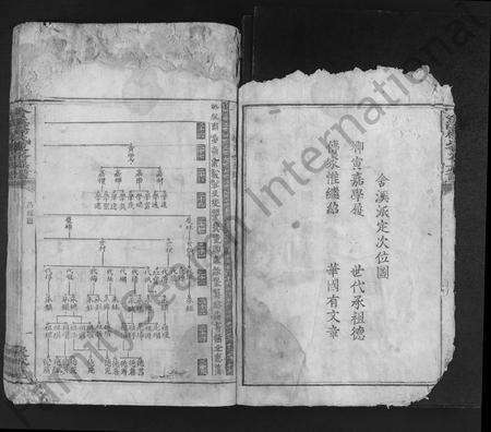 江西杨氏族谱-舍溪杨氏重修族谱 [不分卷].pdf电子版预览图4