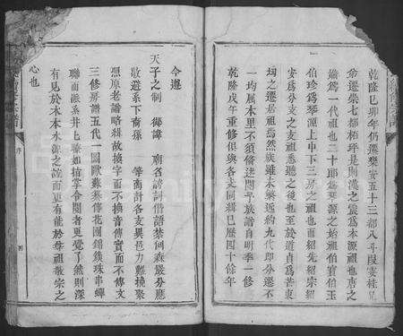 江西杨氏族谱-杨氏续修宗谱 [不分卷].pdf电子版预览图4