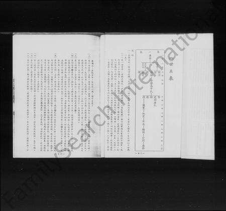 江西杨氏族谱-[江西赣县迁台杨氏家谱].pdf电子版预览图4