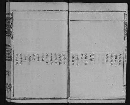 安徽叶氏族谱-石潭叶氏宗谱 [9卷].pdf电子版预览图4