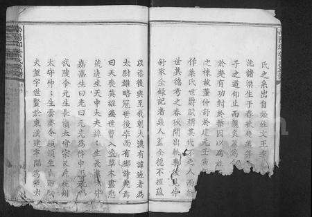 江西叶氏族谱-南阳郡叶氏族谱 [不分卷].pdf电子版预览图4