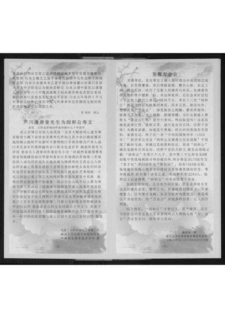 福建李氏族谱-歳豊训亭公派宗支图.pdf电子版预览图4