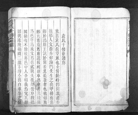 江西袁氏族谱-袁氏十修族谱[不分卷].pdf电子版预览图4