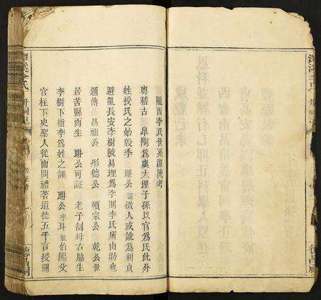 福建李氏族谱-潭溪李氏丁册祠记.pdf电子版预览图4