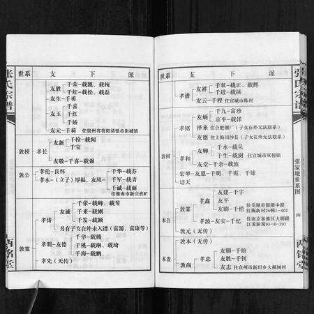 安徽张氏族谱-张氏宗谱.pdf电子版预览图4