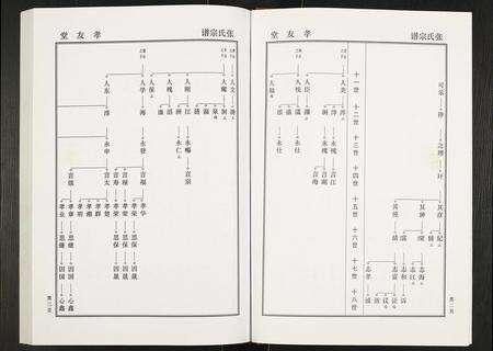 安徽张氏族谱-张氏家谱禄公支系.pdf电子版预览图4