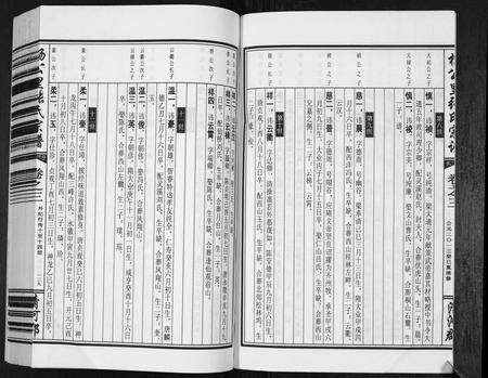 安徽张氏族谱-杨公里张氏宗谱.pdf电子版预览图4