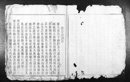 江西张氏族谱-南安四邑张续修族谱[不分卷].pdf电子版预览图4