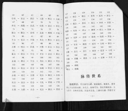 江西张氏族谱-张氏脉传家谱.pdf电子版预览图4