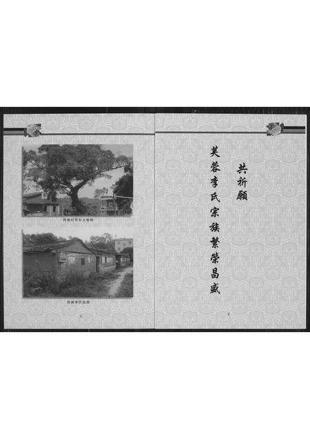 福建李氏族谱-芙蓉李氏族谱西埔洋当派系石目李氏族谱.pdf电子版预览图4