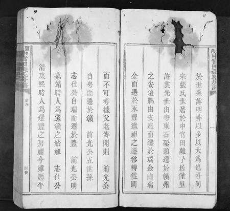 江西张氏族谱-丰邑中官田张氏房谱[不分卷].pdf电子版预览图4