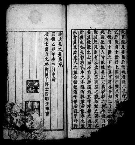 安徽杨氏族谱-新安芳溪杨氏宗支录(休宁芳溪杨氏宗支录).pdf电子版预览图4