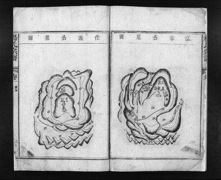 江西杨氏族谱-杨氏宗谱 [残卷].pdf电子版预览图4