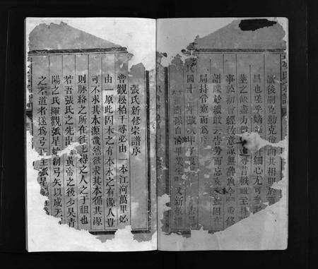 江西张氏族谱-张氏宗谱 [总卷数不详].pdf电子版预览图4