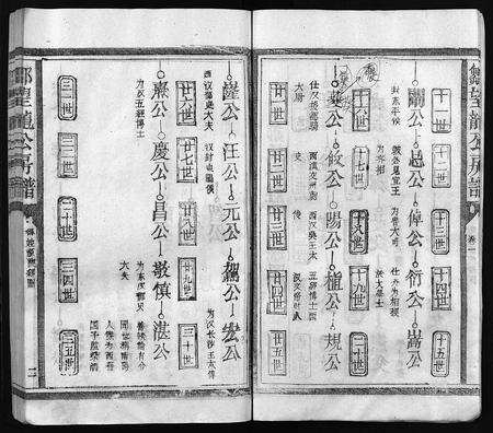 江西邹氏族谱-邹氏九修宗谱 [残卷](邹望龙公房谱).pdf电子版预览图4