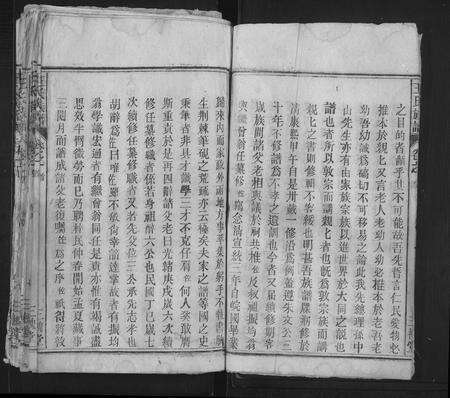 安徽王氏族谱-王氏族谱 [15卷,首2卷].pdf电子版预览图4