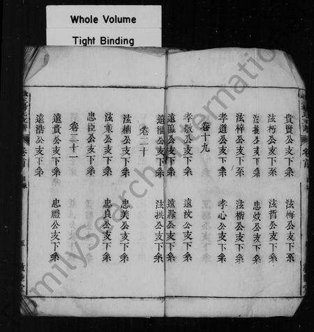 安徽王杨氏族谱-太原王杨氏支谱 [25卷,首1卷,末2卷].pdf电子版预览图4