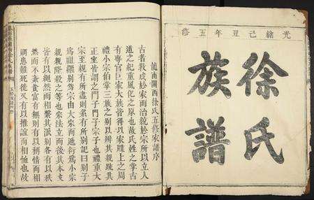 江西徐氏族谱-龙南县关西徐氏族谱.pdf电子版预览图4