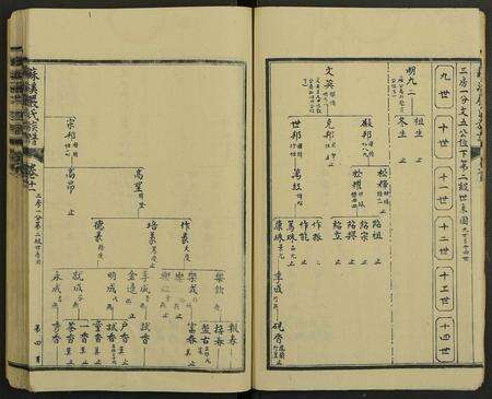 江西严氏族谱-苏溪严氏族谱 [20卷及卷首].pdf电子版预览图4