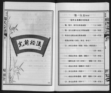 安徽杨氏族谱-梁园地区杨氏宗谱.pdf电子版预览图4