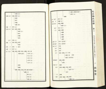 安徽杨氏族谱-礼让杨氏宗谱.pdf电子版预览图4