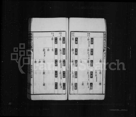 安徽杨氏族谱-芜湖杨氏宗谱.pdf电子版预览图4