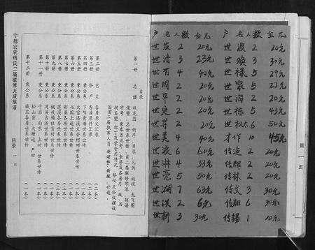 江西杨氏族谱-宁都宏农杨氏二届联修大成族谱[不分卷].pdf电子版预览图4