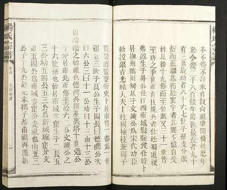 江西杨氏族谱-杨氏宗谱.pdf电子版预览图4