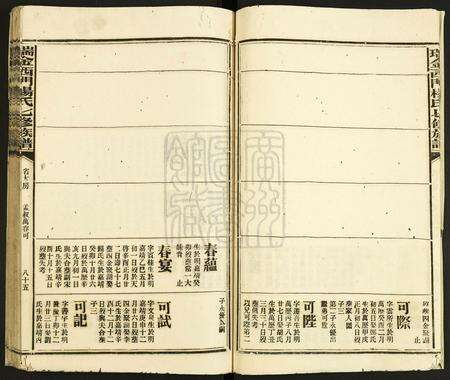 江西杨氏族谱-瑞金西门杨氏七修族谱.pdf电子版预览图4