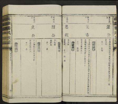 江西杨氏族谱-桥头杨氏族谱 [不分卷].pdf电子版预览图4