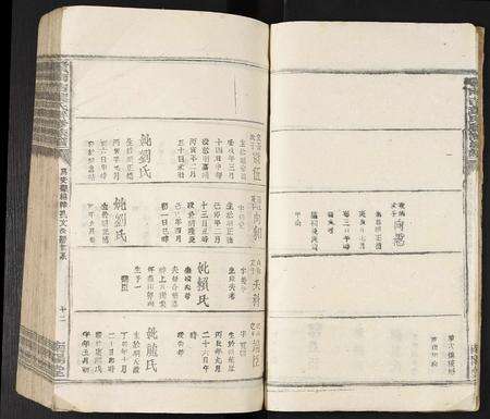 江西叶氏族谱-赣南吉叶氏联修族谱.pdf电子版预览图4